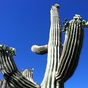 arizona from kells camera - IMG_3163